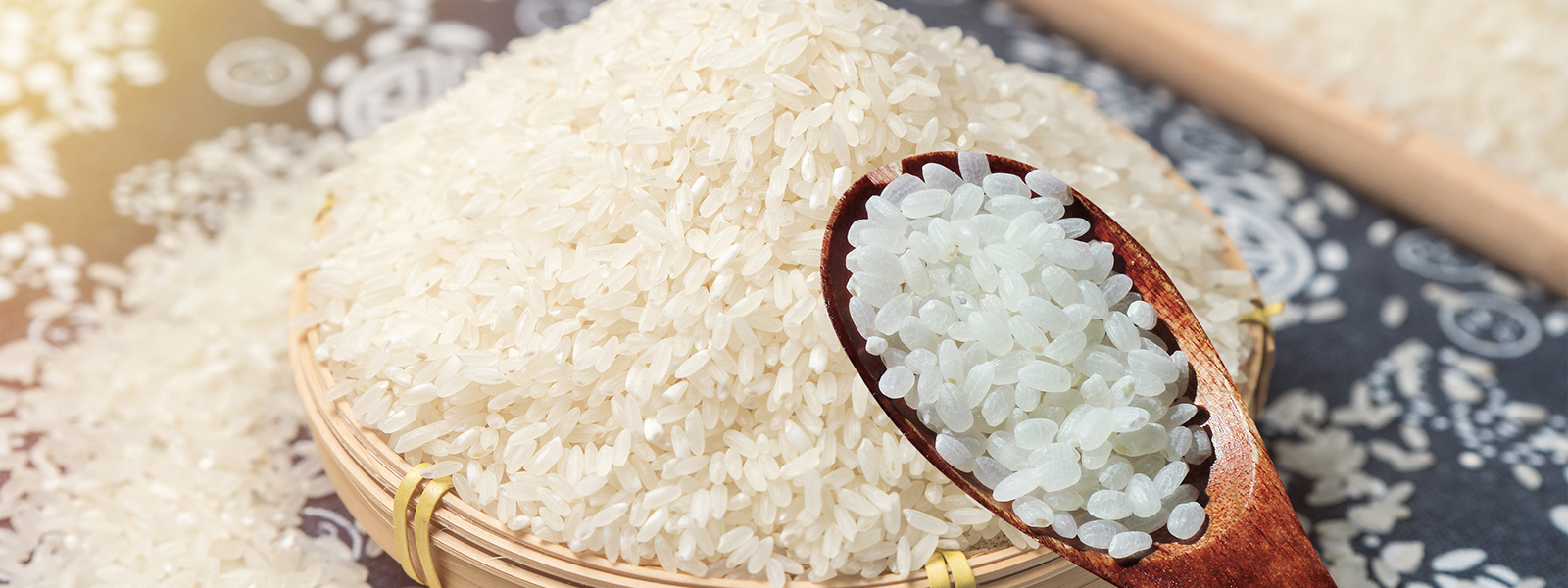 1697169506337182.jpg 摄图网_400738510_世界粮食日(非企业商用).jpg